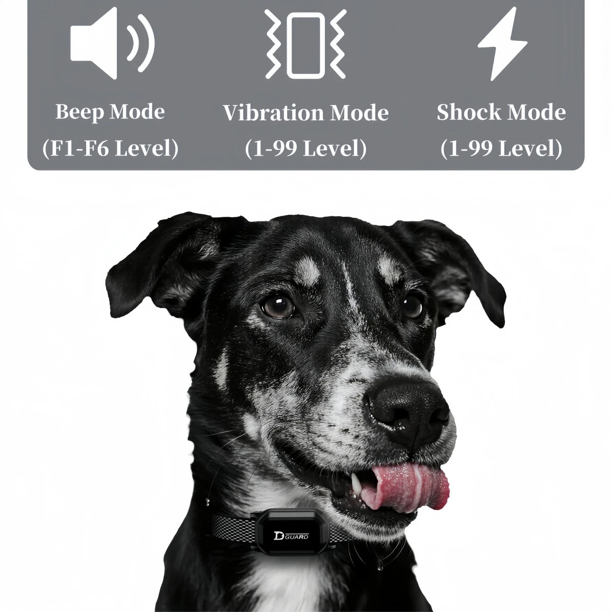 D80 Remote Dog Training Collar