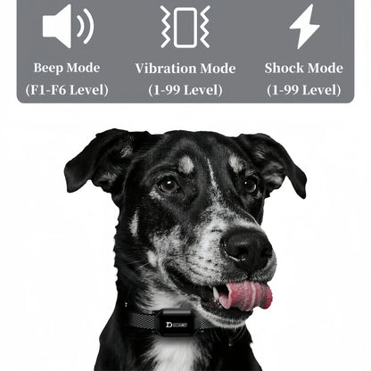 D80 Remote Dog Training Collar